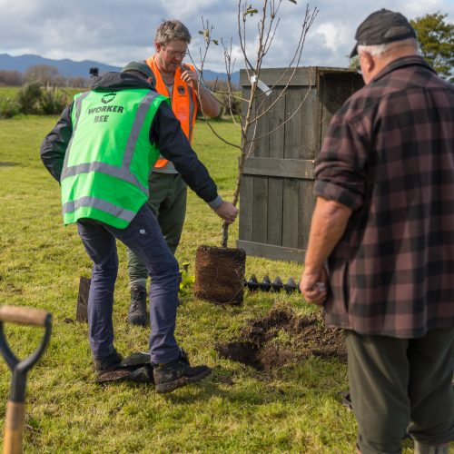 Oke Kopuarahi School-10118