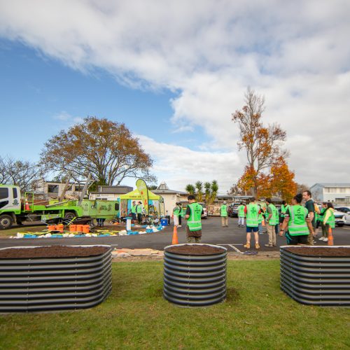 Oke Mayfield Primary School -10115