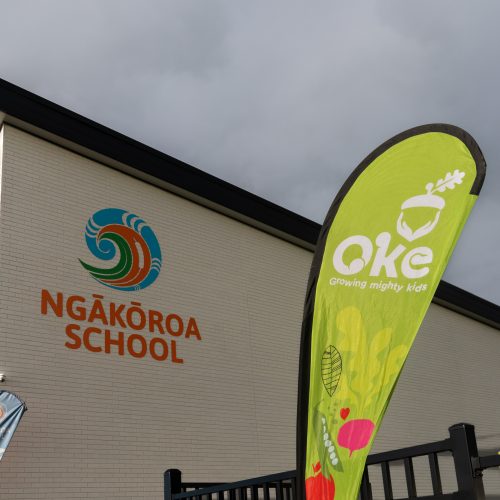 Oke Ngakoroa School-10008