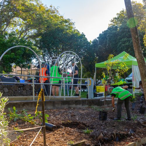 Oke Onehunga Primary School-10074