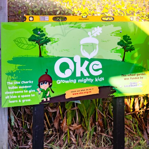 Oke Orakei School-10023