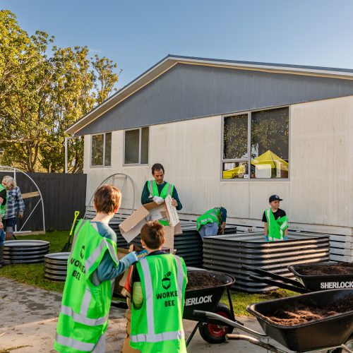 Oke Orakei School-10028