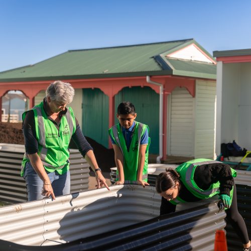 Oke Otahuhu Primary School-10048