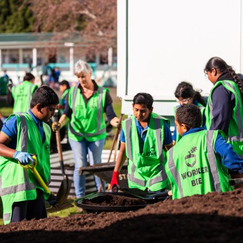 Oke Otahuhu Primary School-10069