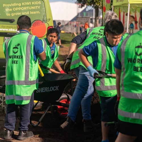 Oke Otahuhu Primary School-10073