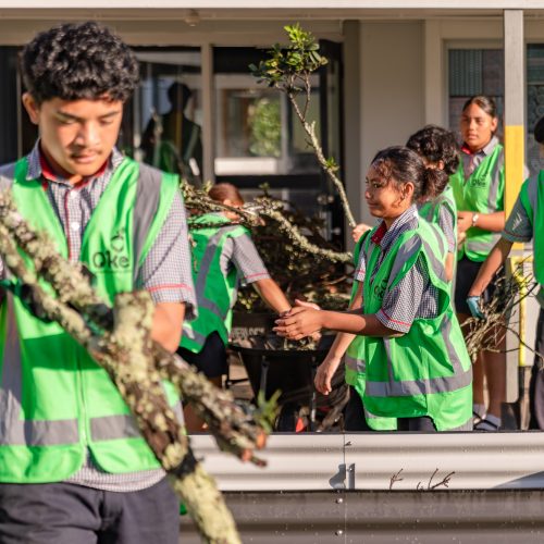 Oke Pakuranga Intermediate -1024