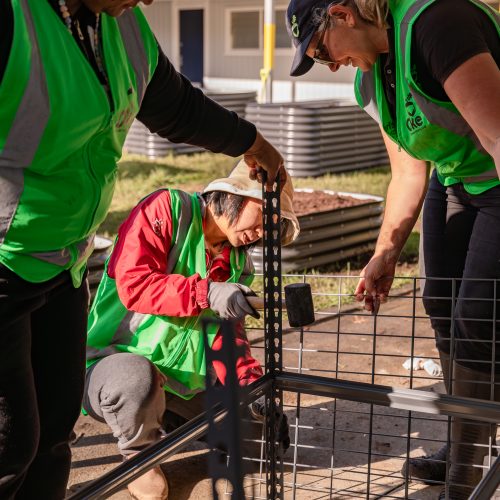 Oke Pakuranga Intermediate -1048