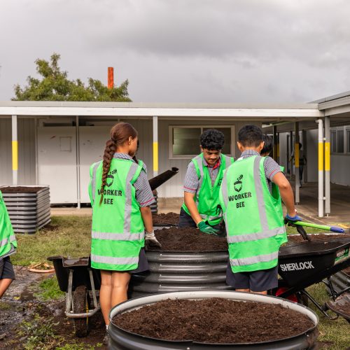 Oke Pakuranga Intermediate -1058