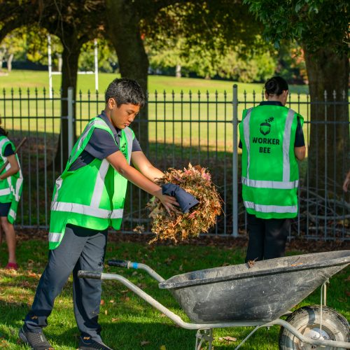 Oke Papakura Central School -10040
