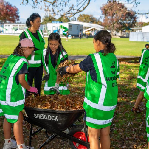 Oke Papakura Central School -10049