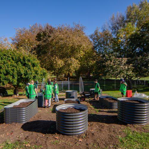Oke Papakura Central School -10075