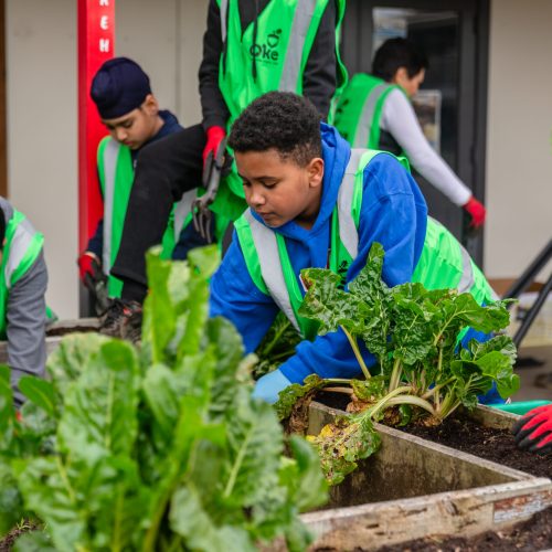 Oke Papatoetoe Central School-10075