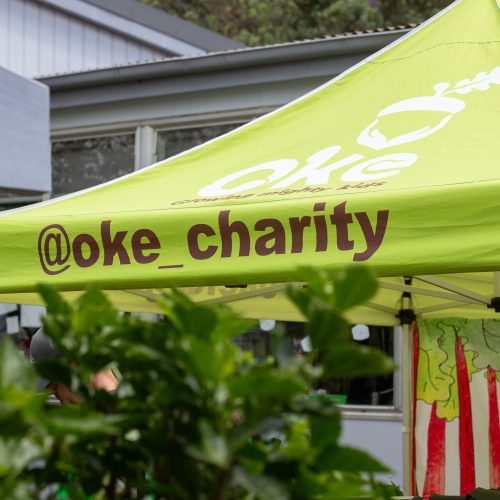 Oke Pigeon Mountain School-10010