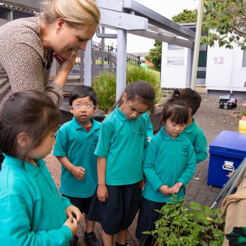 Oke Pigeon Mountain School-10048