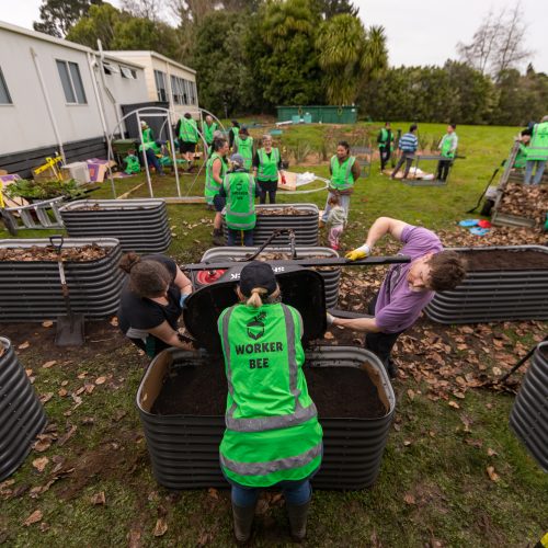 Oke Pukekohe Christian School-1065