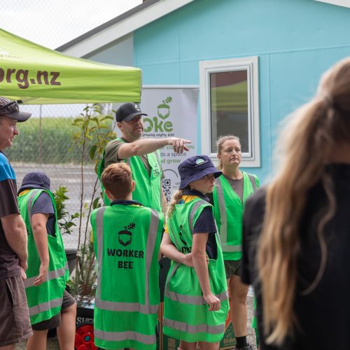 Oke Springdale School-10008