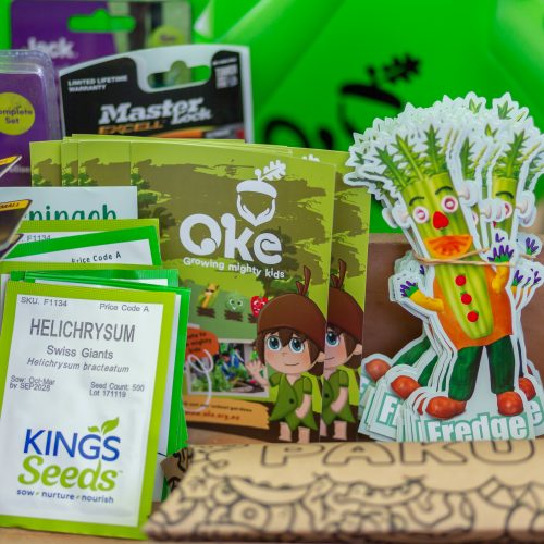 Oke Springdale School-10019