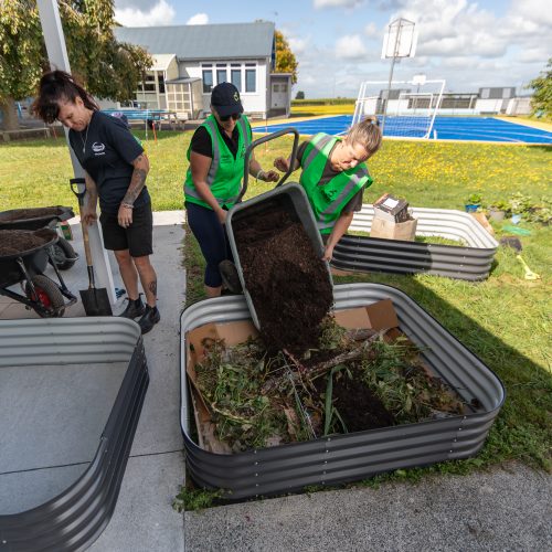 Oke Springdale School-10082