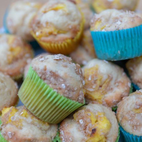 Oke Springdale School-10096