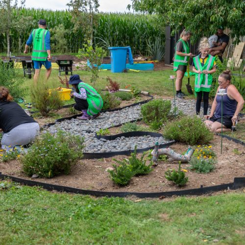 Oke Springdale School-10112