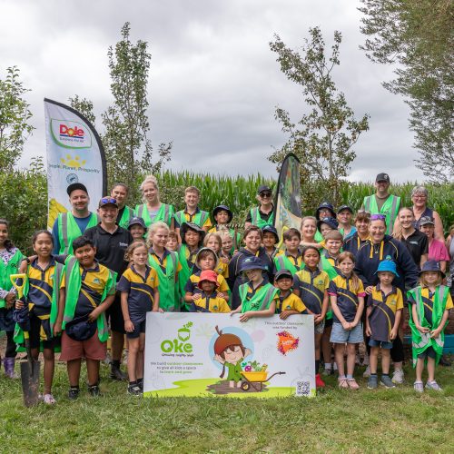 Oke Springdale School-10131