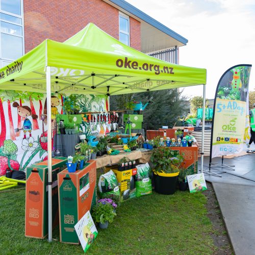 Oke Stonefields School-1004