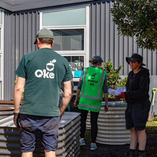 Oke Stonefields School-1075