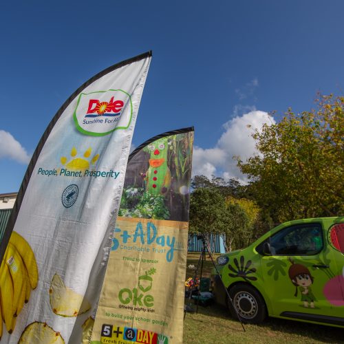 Oke Upper Harbour Primary -10007