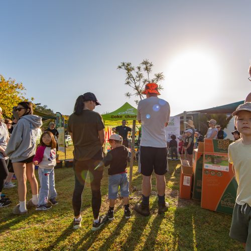 Oke Upper Harbour Primary -10017