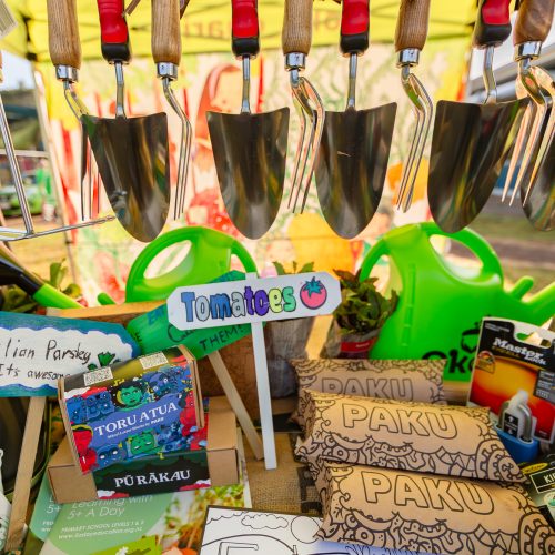 Oke Upper Harbour Primary -10021