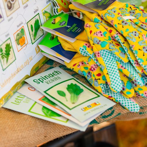 Oke Upper Harbour Primary -10031