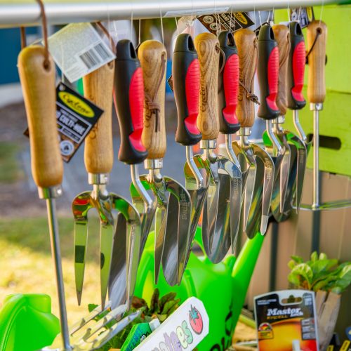 Oke Upper Harbour Primary -10032