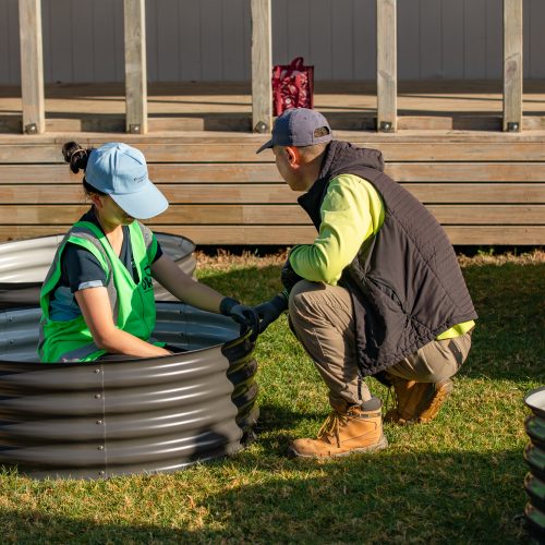 Oke Upper Harbour Primary -10049