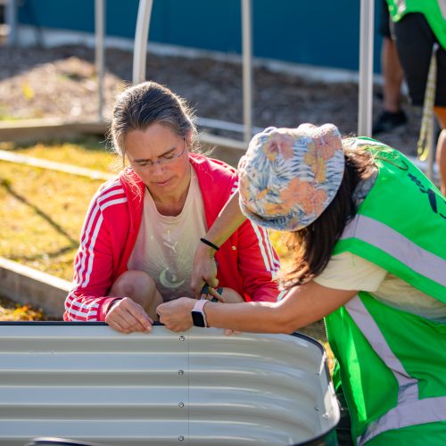 Oke Upper Harbour Primary -10050