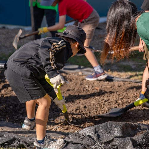 Oke Upper Harbour Primary -10064