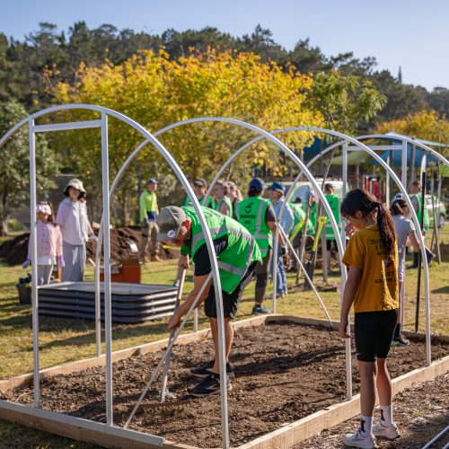 Oke Upper Harbour Primary -10067