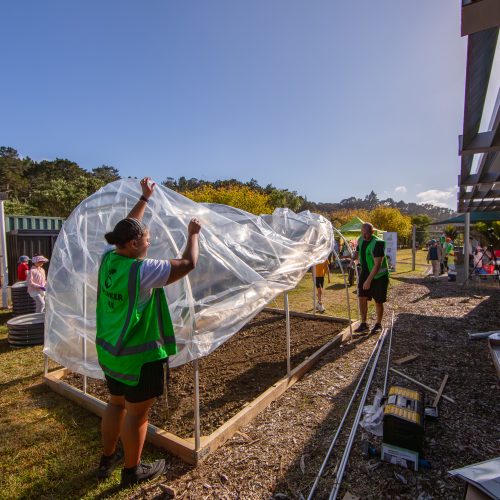 Oke Upper Harbour Primary -10071