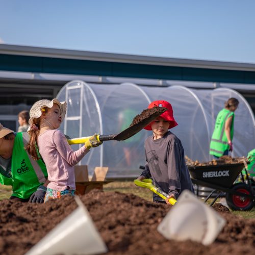 Oke Upper Harbour Primary -10097