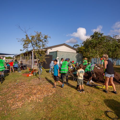 Oke Upper Harbour Primary -10101