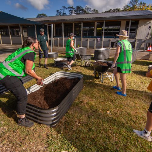 Oke Upper Harbour Primary -10108