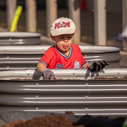 Oke Upper Harbour Primary -10109