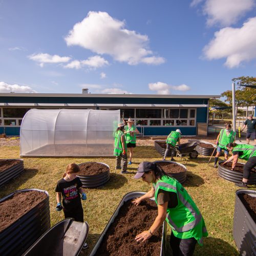 Oke Upper Harbour Primary -10115
