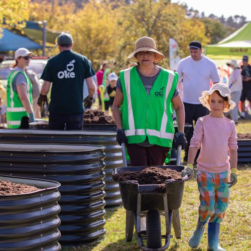 Oke Upper Harbour Primary -10119