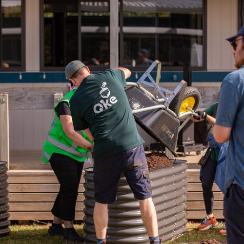 Oke Upper Harbour Primary -10122