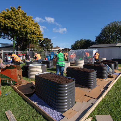 Oke Waterview Primary School-10168